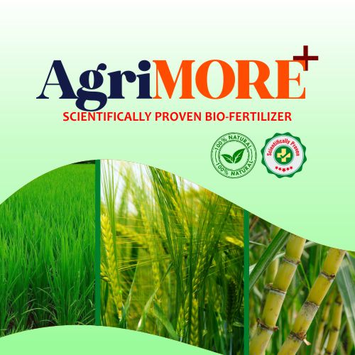 AgriMORE+V biofertilizer enriched with VAM fungi to improve root health and soil fertility – AsthraVi