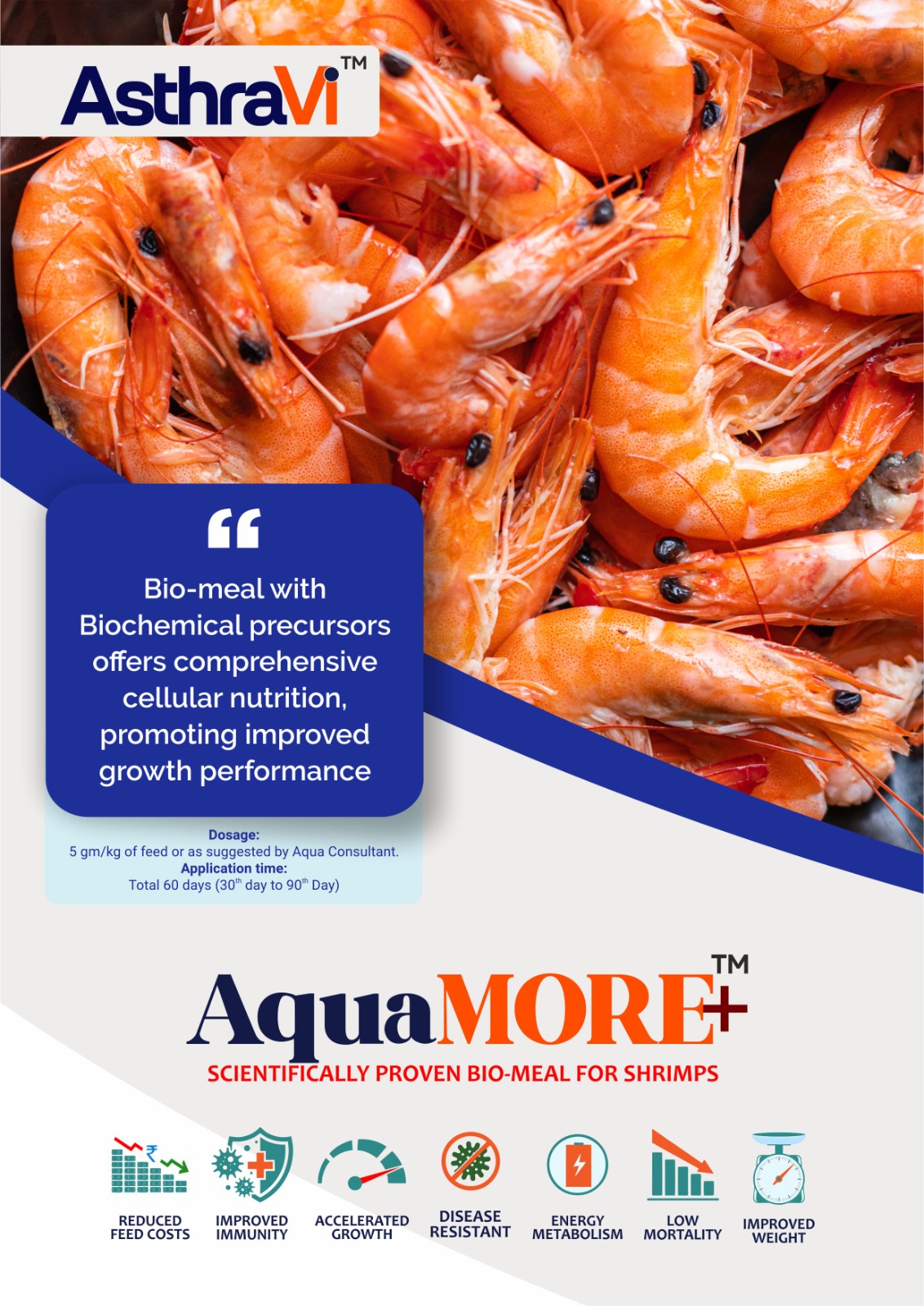 shrimp