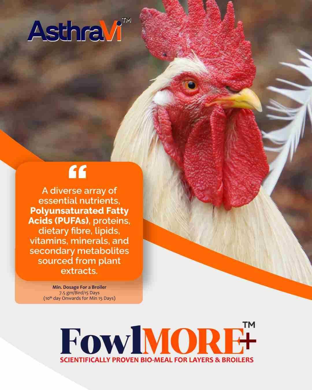 hen