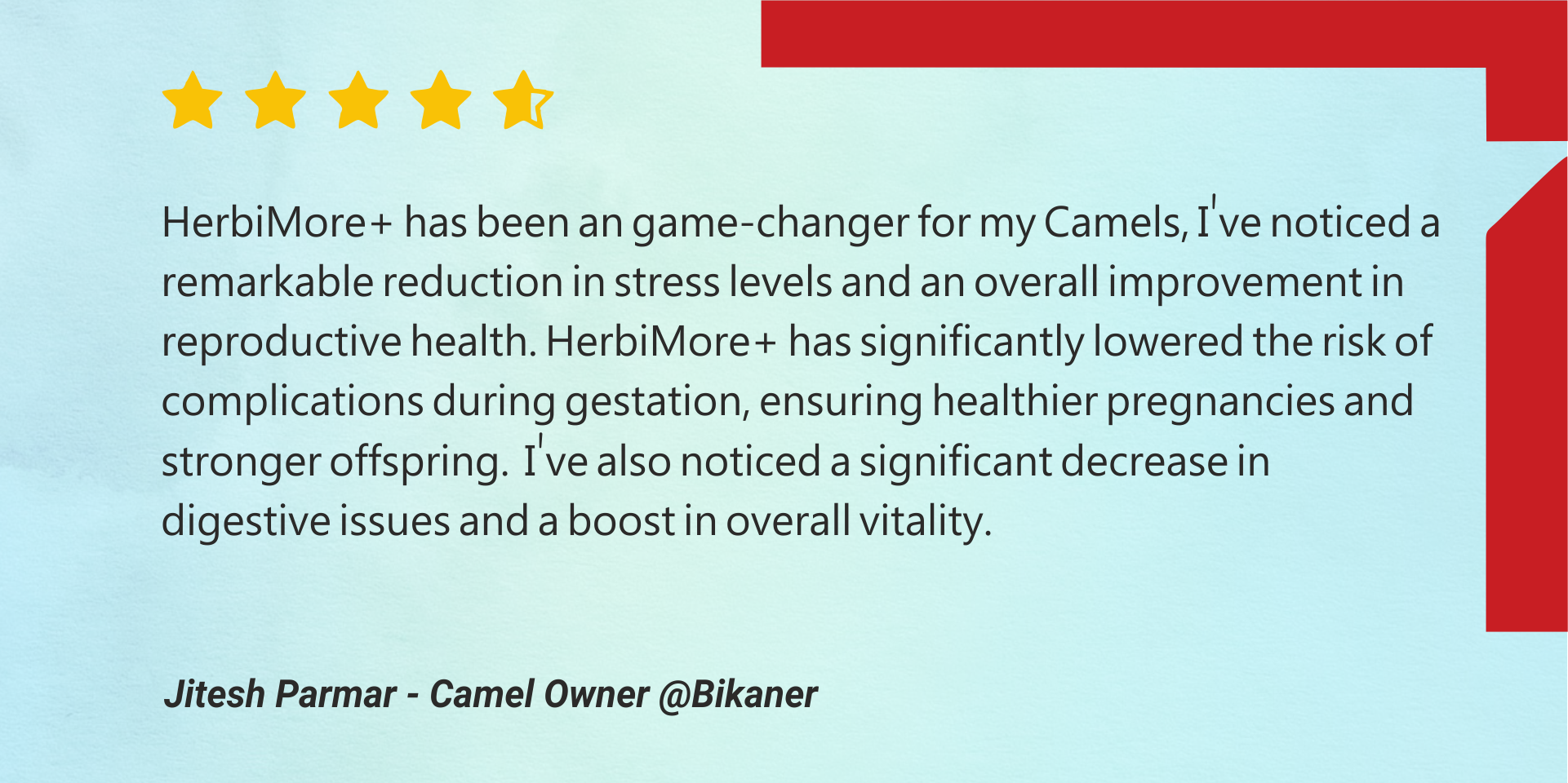 Camel owner Jitesh Parmar from Bikaner praises HerbiMore+ for enhancing reproductive health, reducing stress, and boosting vitality in camels